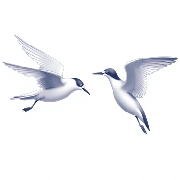 Two arctic terns are depicted in mid-air, with wings extended and feathers ruffled, showcasing their elegant forms. They are facing each other, with their beaks open, as if engaged in a playful call. The scene captures the dynamic movement of their bodies, with one tern slightly above the other, suggesting an energetic interaction. The background includes subtle hints of a cold, expansive ocean, reflecting the natural habitat of these birds.