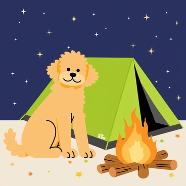 A goldendoodle with fluffy, golden fur sitting beside a green tent. The night sky is filled with bright stars, twinkling against a deep blue backdrop. A campfire with glowing orange flames crackles nearby, casting a warm light that illuminates the goldendoodle's face. The ground is covered with scattered leaves and small stones, enhancing the outdoor camping scene. A few logs are arranged around the fire, creating a cozy atmosphere.