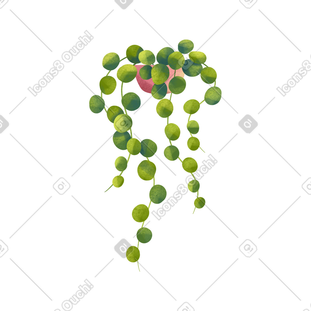 Stephania-pflanze im blumentopf-Illustration Shine-Stil als Download in PNG, SVG