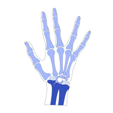 A cultural depiction of a hand gesture with an overlay of bone structure.