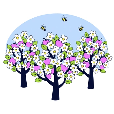 An orchard filled with blooming fruit trees, covered in white and pink blossoms. The trees are tall and have leafy green branches that extend outward. There are small clusters of fruits, such as apples and pears, forming among the blossoms. Several bees can be seen flying around, hovering near the flowers with delicate wings and a distinct fuzzy body. The orchard is set against a clear blue sky.