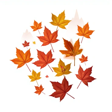Programs canada
