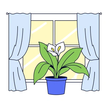 A peace lily with large, glossy green leaves and white blooms is positioned on a windowsill. The sunlight streams softly through sheer curtains, creating a warm, inviting glow around the plant. The curtains are lightly swaying, suggesting a gentle breeze. The background features a simple indoor setting, emphasizing the peaceful nature of the scene.
