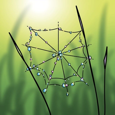 A delicate spider web featuring intricate patterns is suspended between two blades of grass. The web is adorned with numerous clear dew drops that glisten in the soft morning light, reflecting a spectrum of colors. The background consists of a blurred green landscape, emphasizing the web's fine details and the sparkling droplets.