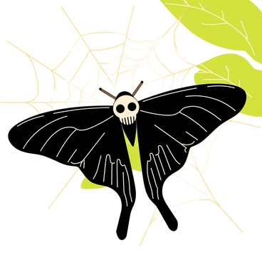 A "death's-head hawkmoth" with distinct skull-shaped patterns on its thorax is caught in a "delicate spider's web." The moth's large, dark wings contrast with the fine, glistening threads of the web, which are illuminated by soft light. The web features intricate patterns with droplets of dew hanging from the strands. In the background, a subtle hint of green foliage is visible, adding depth to the scene. The composition captures the tension between the beauty of the moth and the intricacy of the web.