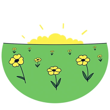 Evening primroses with yellow petals scattered across a green field. The flowers are in full bloom, standing tall with slender stems. The field is expansive, stretching out to the horizon, with a clear sky above. The setting sun casts a warm golden glow over the scene, enhancing the vibrant color of the flowers.