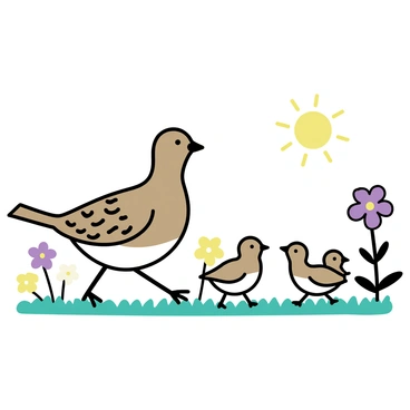 Partridge