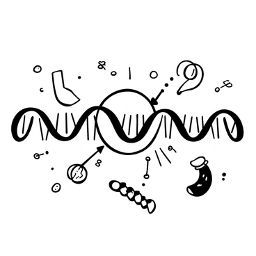 A black-and-white illustration showing a DNA strand with a replication bubble forming in the center. The DNA helix is twisted, with the strands appearing to unwind at the bubble. Small arrows indicate the direction of replication on each side of the bubble. The bubble is surrounded by various molecular structures, such as nucleotides, that are moving towards the open strands. Additionally, there are larger, cylindrical structures representing enzymes actively engaging with the DNA.