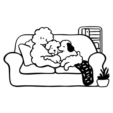 A family of poodles cuddled together on a cozy couch