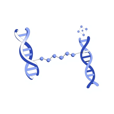 A DNA polymerase enzyme is positioned at a gap in a DNA strand, actively assembling a bridge of nucleotides. The enzyme has a distinct structure with an active site, where nucleotide triphosphates are being incorporated into the growing DNA strand. The nucleotides are depicted as individual units, connecting across the gap. The DNA strands on either side of the gap are visible, showcasing the double helical structure.