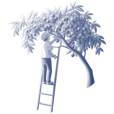A person standing on a ladder, reaching up towards a lychee tree filled with ripe, clustered fruits. The individual is wearing a hat to shield from the bright sun, and their hand is grasping a bunch of lychees, pulling them gently from the branches. Surrounding the person, lush green leaves create a vibrant canopy above. The sky is bright, indicating a sunny day, while the sunlight filters through the foliage, casting dappled shadows on the ground.