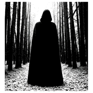 A mysterious cloaked figure stands at the edge of a dense forest. The figure is draped in a long, dark cloak that flows to the ground, obscuring any visible features. The hood is pulled low, casting a shadow over the face, which remains hidden. The forest behind is thick with tall trees, their trunks straight and imposing. The ground is covered in a layer of fallen leaves, blending into the surrounding dark hues of the forest. The atmosphere is thick with anticipation, as the figure gazes into the depths of the woods.