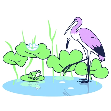 A curious cigogne stands tall on the edge of a serene pond, its long legs poised gracefully above the water. The bird is peering intently at a small frog resting on a lily pad. The frog is a vibrant green, blending with the pad's surface, and it is looking up at the cigogne. Surrounding them, several larger lily pads float gently, with delicate white flowers blooming atop them. The reflections of the cigogne and the frog shimmer on the water’s surface, while the background consists of lush foliage framing the scene.
