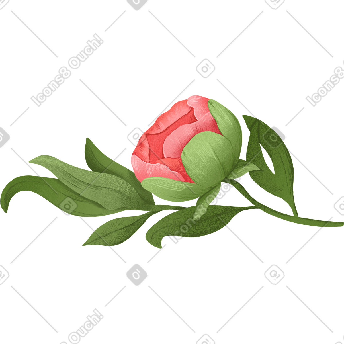 Peonia con foglie illustrazione in stile Floral scarica in PNG, SVG