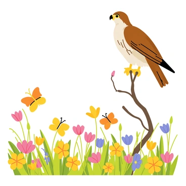 A hawk watching a group of butterflies fluttering around a flowering meadow