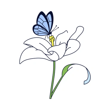 A delicate butterfly with intricately patterned wings in shades of blue and black is landing gently on a pure white lily flower. The lily has smooth, elongated petals that open wide, showcasing its bright yellow stamen at the center. The butterfly's wings have a slight shimmer as it descends towards the flower, creating a sense of peaceful interaction in this natural setting.