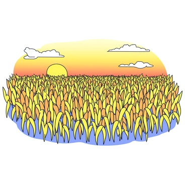 A wide field filled with tall, ripe crops swaying gently in the breeze. The crops have a golden hue, reflecting the warm light from the setting sun. The sky is a gradient of orange and yellow as the sun descends, casting a soft glow over the landscape. In the distance, a few fluffy clouds catch the sunlight, adding subtle texture to the sky.