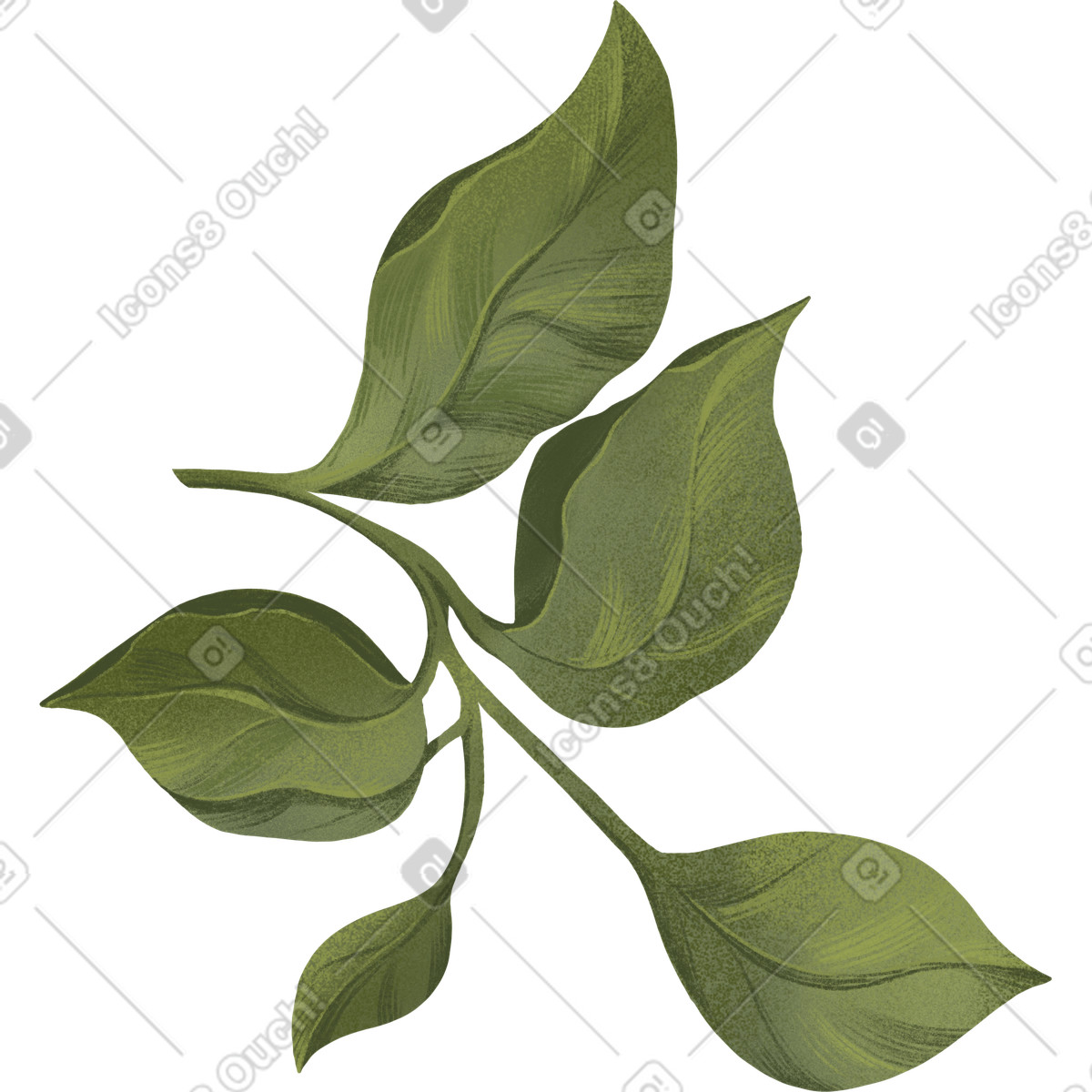 Twig with green curved leaves illustration in Floral style download in PNG, SVG