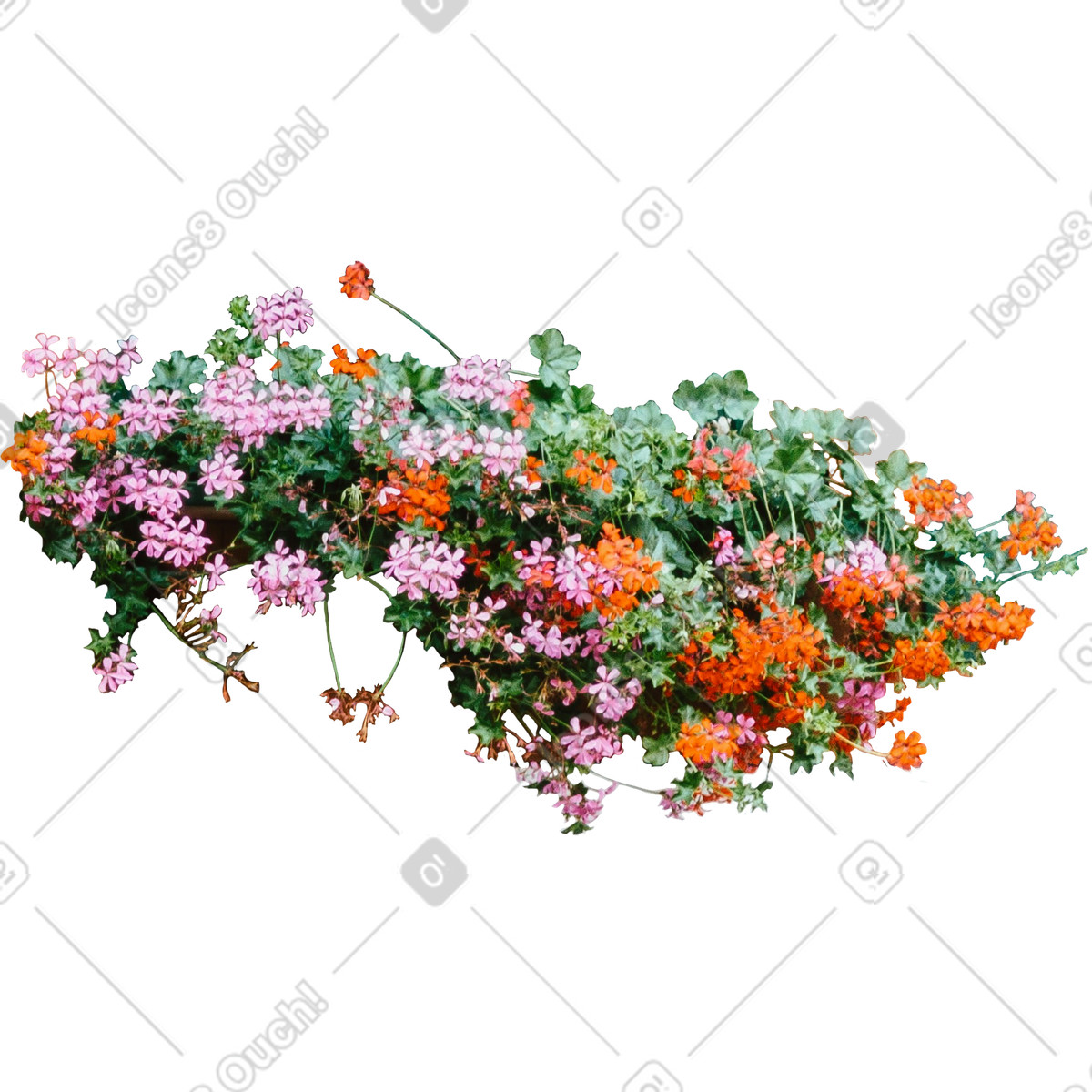 Ilustración Flores en estilo Marker a descargar en PNG y SVG