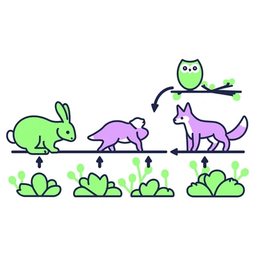 A diagram illustrates a food chain in a forest ecosystem. At the bottom, there are green plants representing producers, with leaves and flowers clearly visible. Above them, there is a green rabbit depicted as a primary consumer, nibbling on the plants. Next, a purple fox is shown as a secondary consumer, standing alert with its eyes focused on the rabbit. Higher up, a green owl is perched on a branch, signifying a tertiary consumer, with its wings slightly spread as if ready to take flight. The diagram includes arrows connecting each element to indicate the direction of energy flow, enhancing the visual understanding of the food chain.