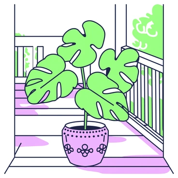 A monstera plant with large, distinct leaf shapes is positioned in a decorative pot on a porch. The pot features intricate designs that add visual interest. Sunlight filters through the leaves, casting soft shadows on the wooden floor of the porch. In the background, there are wooden railings and a hint of greenery visible beyond the porch, enhancing the lively atmosphere. The overall scene is bright and inviting, showcasing the beauty of the monstera plant in its chosen setting.