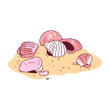 A collection of seashells scattered across a sandy beach. Each seashell has distinct patterns and textures, showcasing a variety of intricate designs. The sandy surface beneath the shells is smooth, with small grains glistening in the sunlight. The shells are arranged in a way that some are partially buried in the sand, while others sit prominently on the surface. The overall scene captures the natural beauty of the beach environment.