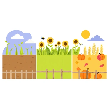 A farm field divided into three distinct sections, each representing a different season. The spring section features freshly turned brown soil with green sprouts emerging, under a bright blue sky with fluffy white clouds. The summer section displays lush green plants growing tall, surrounded by vibrant sunflowers and buzzing bees, all under a warm yellow sun. The autumn section is filled with ripe orange pumpkins and golden stalks of corn, with falling leaves in shades of red, orange, and yellow scattered across the ground. A rustic wooden fence borders the field, completing the seasonal landscape.