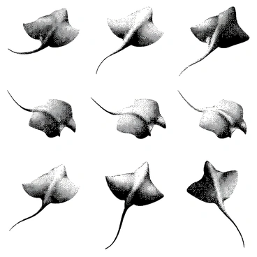 A repeating pattern of "stingray" shapes is featured prominently across the canvas. Each "stingray" is depicted with a streamlined body and long, flowing tail. The shapes are arranged in a seamless manner, creating a rhythmic flow throughout the design. The overall composition captures the elegant form of the "stingray," emphasizing its graceful movement and distinctive structure.
