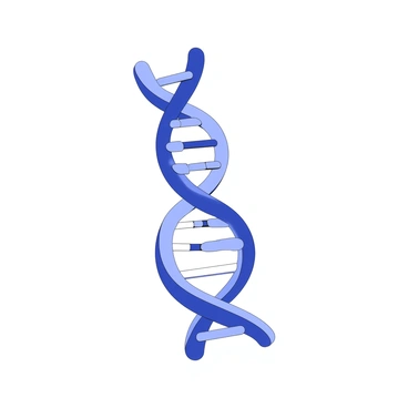A DNA strand displayed in a double helix structure. The strands twist around each other with prominent base pairs visible at regular intervals. Along the helix, there are distinct segments representing different genes, each shown with unique shapes and patterns to indicate their variation. The background is simple and unobtrusive, ensuring the DNA strand remains the focal point of the image.