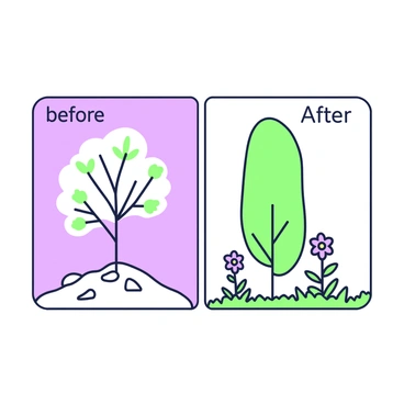 A split-screen illustration is divided into two distinct sections labeled "before" on the left and "after" on the right. In the left section, there is an illustration of a simple tree with a thick trunk and sparse leaves. The tree is surrounded by a few scattered rocks on the ground. In the right section, the same tree appears more vibrant, with an elongated trunk and a fuller canopy of leaves. Bright flowers bloom at the base of the tree, and the ground is covered with green grass. Each section features a label at the top in a bold font, contrasting the two states of the illustration.