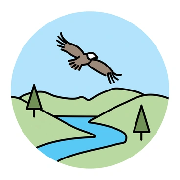 An eagle with a large wingspan is soaring in the sky above a valley. The eagle has rich brown feathers and a white head. Below, the valley is depicted with gently rolling green hills dotted with trees. A river winds through the valley, reflecting the blue sky. The scene captures the eagle in mid-flight, showcasing its outstretched wings against the backdrop of the tranquil landscape.