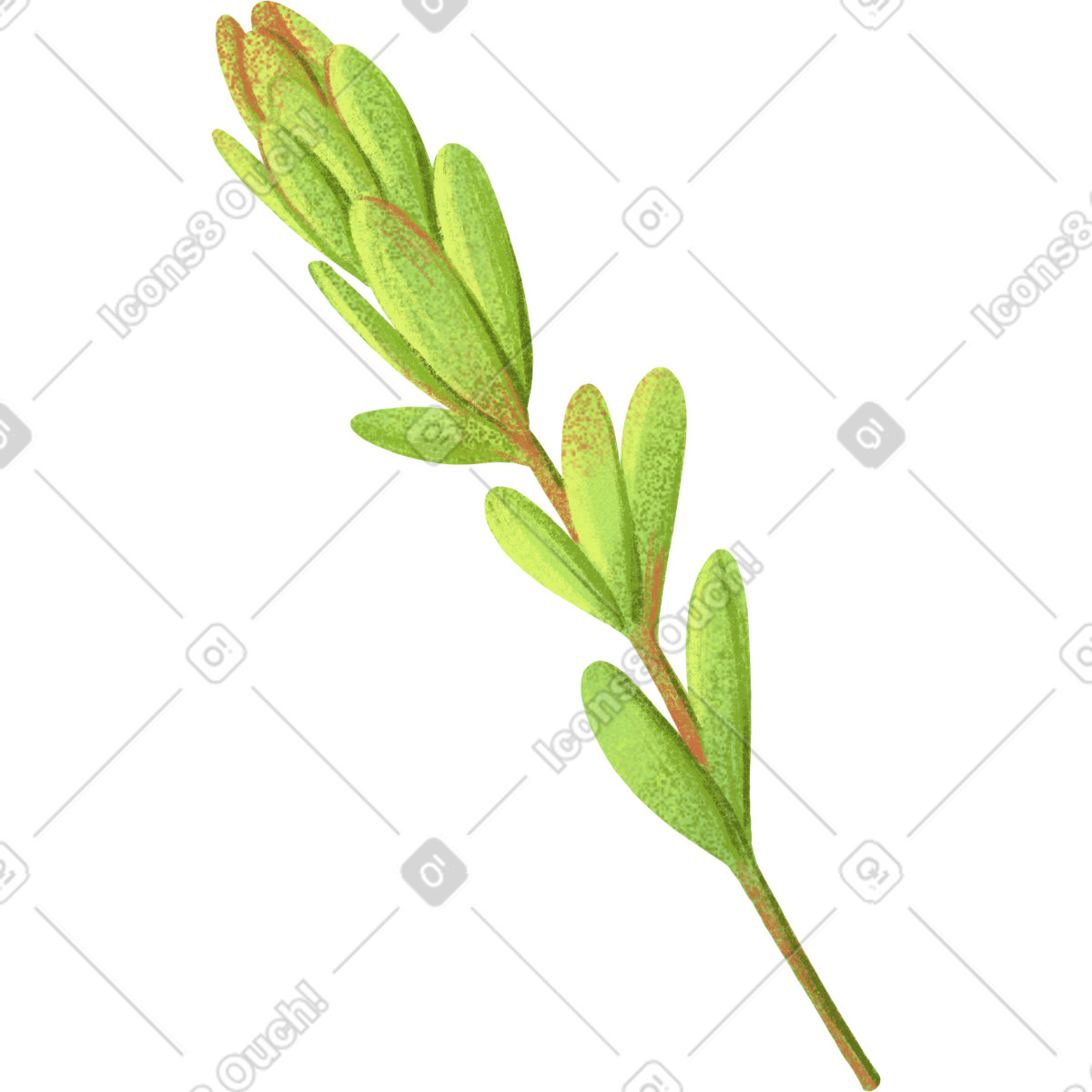 Ilustración Ramita decorativa verde en estilo Floral a descargar en PNG y SVG
