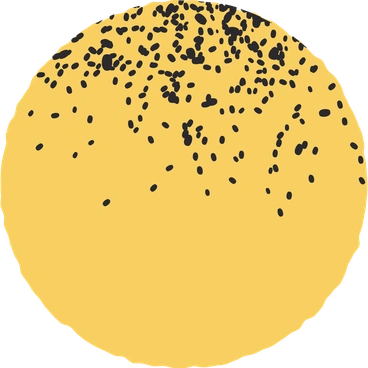 Circle PNG, SVG