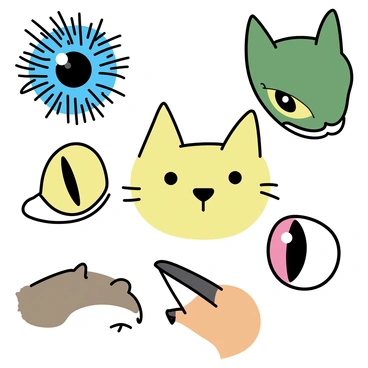 Augen