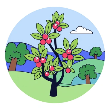 A coffee plant growing on a hillside in its natural tropical environment