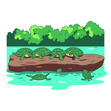 A group of green turtles with shiny shells are sunbathing on a large brown log that is partially submerged in the Amazon River. The turtles are positioned closely together, some with their legs extended while others are resting their heads on the log. The water around the log is a clear turquoise, reflecting the sunlight. In the background, lush green foliage lines the riverbank, providing a vibrant natural setting. The scene captures the tranquil moment of the turtles enjoying the warmth of the sun.