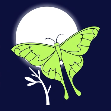 A luna moth with bright green wings, featuring intricate patterns and soft edges. The wings are open wide, showing the delicate, translucent texture that reflects the soft glow of a full moon. The background is a dark night sky, emphasizing the light emanating from the moon, which casts a gentle illumination on the moth. The moth is perched on a slender branch with a few leaves, creating a harmonious interaction with its surroundings.