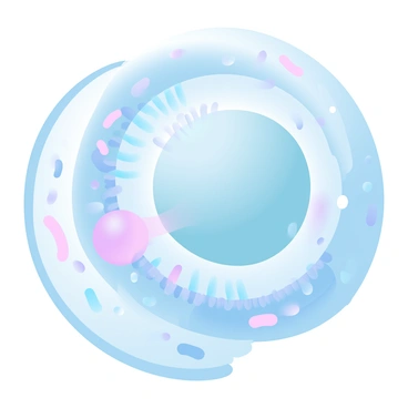 An illustration of a cell's nucleolus showcasing the synthesis of rRNA. The nucleolus is depicted as a dense, spherical structure within the nucleus of the cell. Surrounding the nucleolus are strands of chromatin and other cellular components. Inside the nucleolus, there are numerous ribosomal RNA molecules being formed, represented as elongated strands emerging from a central area. The background highlights the nuclear membrane, showing its double-layer structure, while the overall color palette incorporates gradient pastel colors.