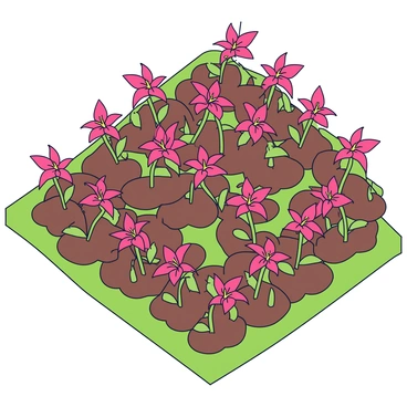 A geometric garden layout featuring neatly arranged sections of soil. In each section, bright red spider lilies are planted in symmetrical patterns, creating striking visual repetitions. The garden is bordered by a simple green grass edge, enhancing the organization of the layout.