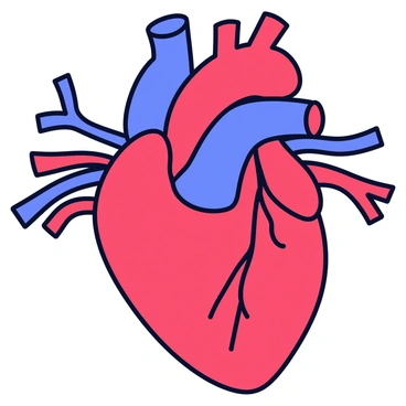 An illustration of a human heart with bright red color. The heart is anatomically correct, showcasing its chambers and valves. From the heart, several veins and arteries extend outward, depicted in various shades of red and blue to differentiate oxygenated and deoxygenated blood vessels. The arteries are thick and curved, while the veins are slightly wider and more supple. The background is a simple white to highlight the detailed structure of the heart and its connecting vessels.