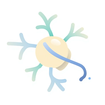 A detailed illustration of a single neuron with its axon and dendrites clearly visible