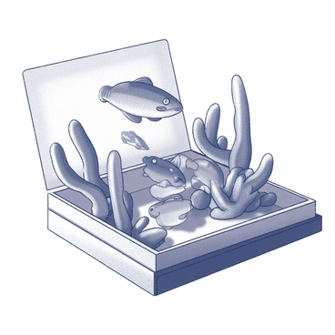A matchbox featuring an underwater scene. The scene includes various species of fish swimming among intricate coral formations. The coral is detailed with organic shapes and textures, providing a habitat for the fish. The fish are depicted in various sizes and shapes, showcasing their unique patterns and features. The overall composition captures the diversity of marine life in a small, contained environment.