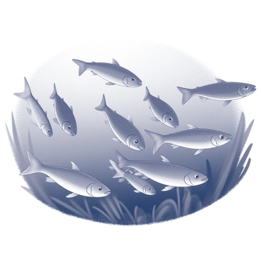 A school of catfish swimming in unison just beneath the water's surface in a swamp. The catfish have elongated bodies with whisker-like barbels extending from their snouts. Their fins are extended as they glide through the water, creating gentle ripples. The underwater scene includes murky water with patches of aquatic plants partially visible. The surface is disturbed by the movement of the fish, with light filtering through, creating a dynamic and lively atmosphere.