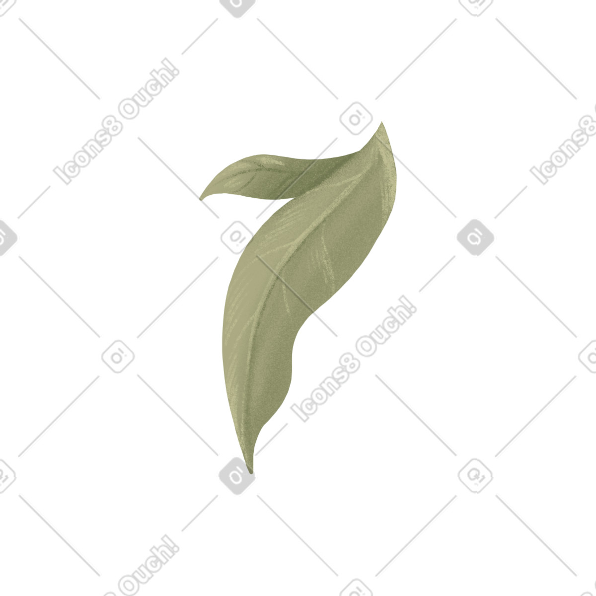 Two green peony leaves illustration in Floral style download in PNG, SVG