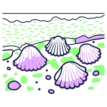 Scallop shells are scattered along a rocky shoreline. The waves gently wash over the shells, creating ripples in the water. Each shell has distinct ridges and curves, partially buried in the sand. The rocky surface is textured with various sizes of stones, some covered in small patches of seaweed. In the background, the ocean stretches out, and the foam from the waves is visible as they crash against the shore. The scene captures the natural interaction between the shells and the ocean waves.