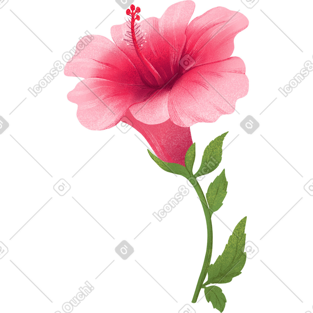Grande fiore di ibisco rosa su un gambo con foglie illustrazione in stile Floral scarica in PNG, SVG