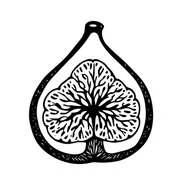 A detailed black-and-white illustration of a cross-section of a fig. The image prominently displays the interior of the fig, revealing numerous small seeds scattered throughout its inner texture. The outer skin of the fig is textured, showcasing the fibrous layers beneath. The inner structure is intricate, with various shades of light and shadow highlighting the complex patterns of the seeds and the fleshy part of the fig.