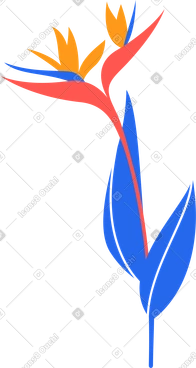 Flowers PNG, SVG