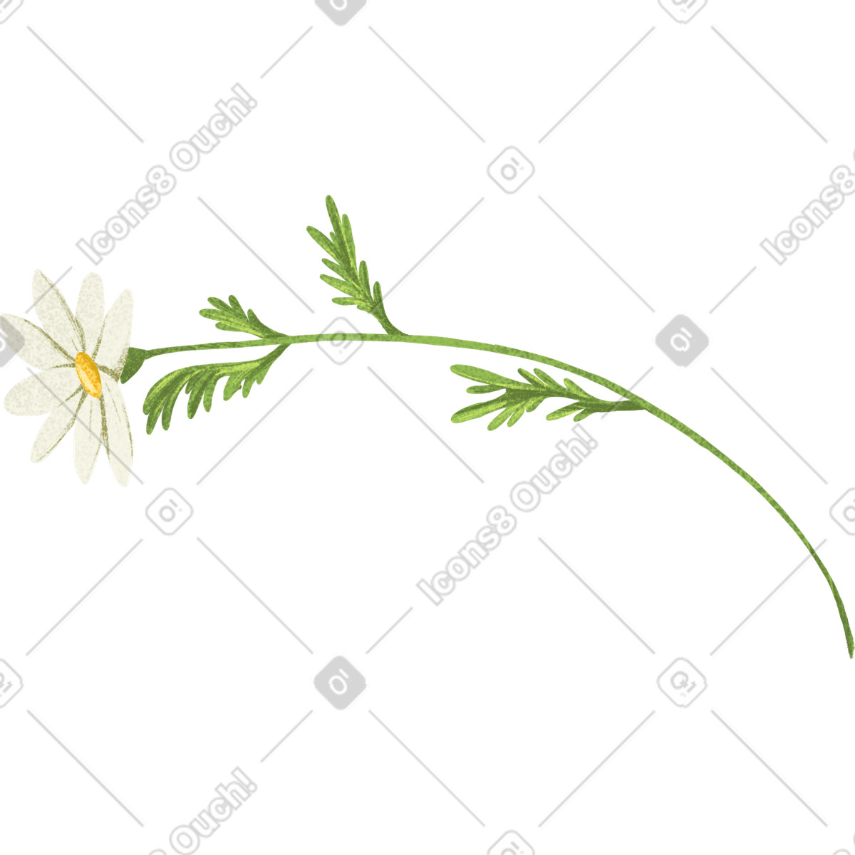 Иллюстрация Ромашка на стебле в стиле Floral — скачать в форматах PNG, SVG