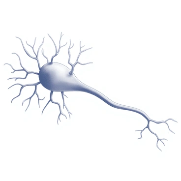 A neuron with branches and axon forming a rainbow of colors
